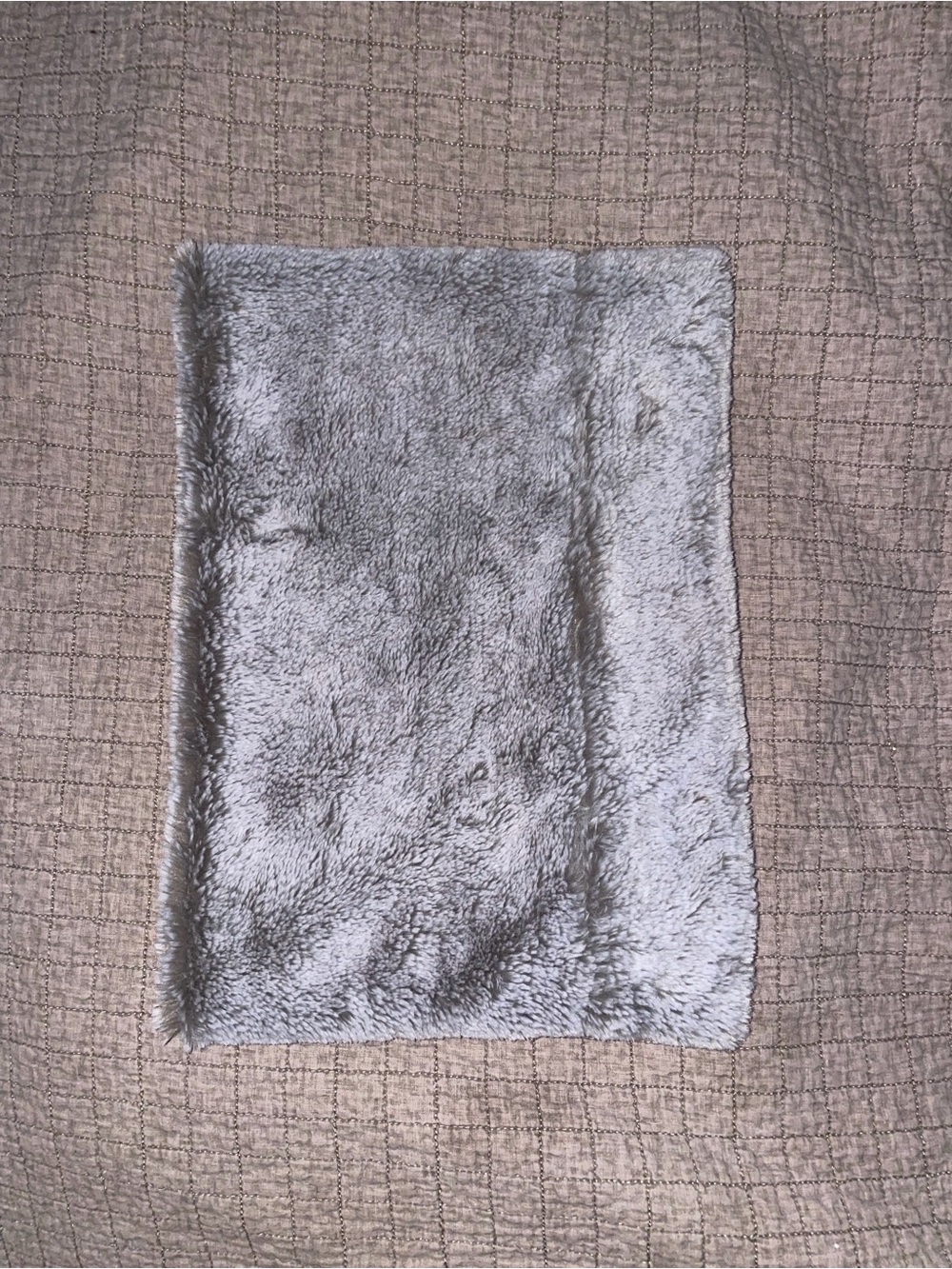Cat & Jack Plush Faux Fur infinity scarf in Light Gray